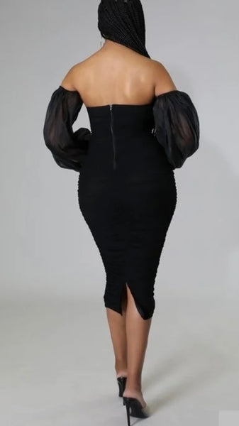 Ruched Sheer Sleeve Dress