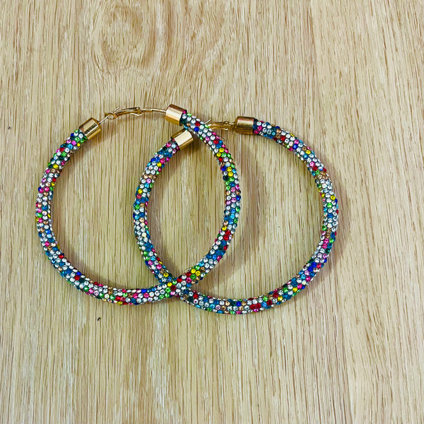 Multi Color Rhinestone Hoop Earrings The Sheek Boutique