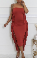 Skirt/Tube Dress W/Fringe